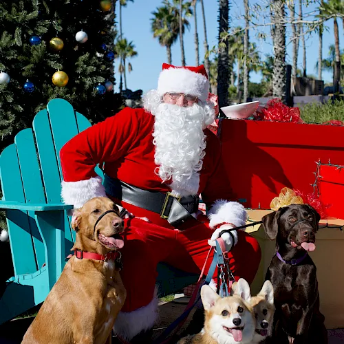 Santa in a red suit sits on a decorated float with several dogs, with a Christmas tree and palm trees in the sunny background.