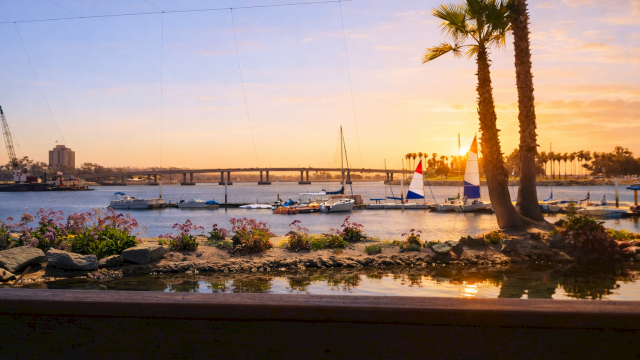 Paradise Point Resort & Spa