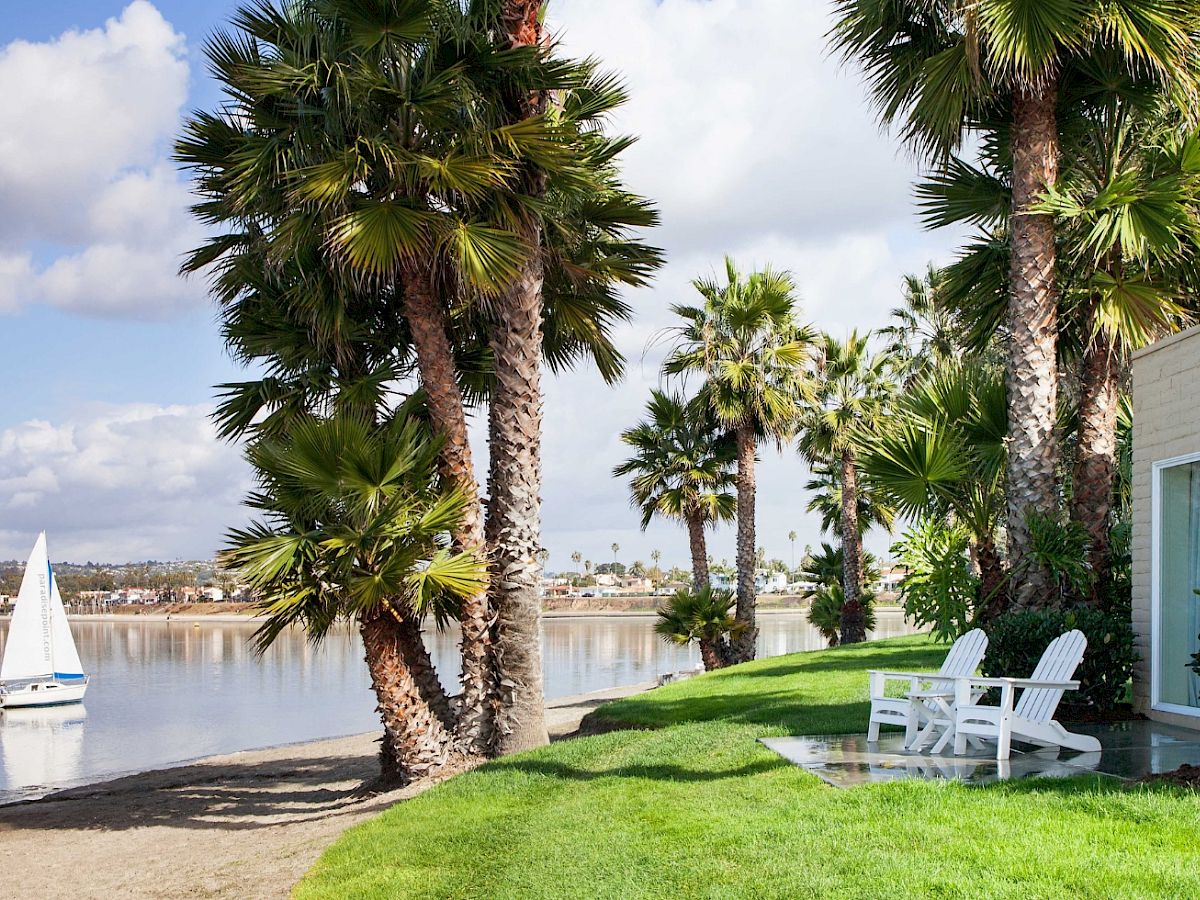 A sunny lakeside patio with tall palm trees, a green lawn, white Adirondack chairs, and a sailboat on calm water nearby.