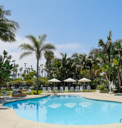 A sunny hotel pool with lounge chairs and umbrellas, surrounded by tall palm trees and lush tropical greenery.