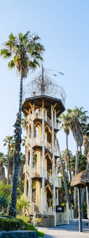 A tall wooden observation tower rises above swaying palm trees under a bright blue sky.