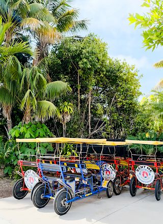 Colorful electric go-karts are parked beside lush palm trees and tropical greenery on a sunny day.