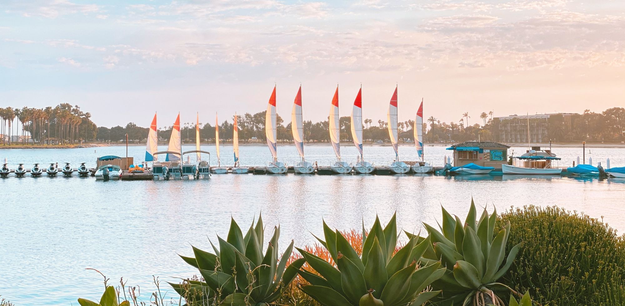Sailboats with red-and-white sails line a calm lake at sunset, with palm trees and boats docked along the shore.