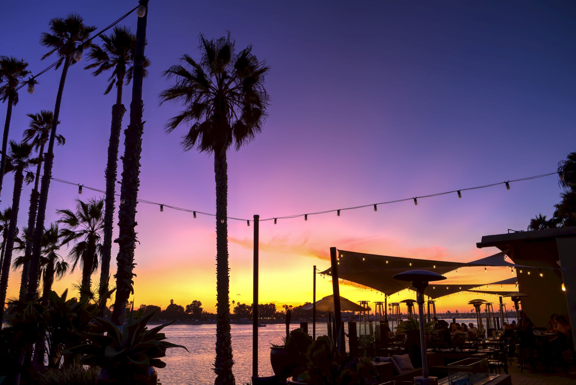 Palm trees silhouetted at sunset over a riverside/sea view, with string lights and outdoor caf&eacute; seating along the water.