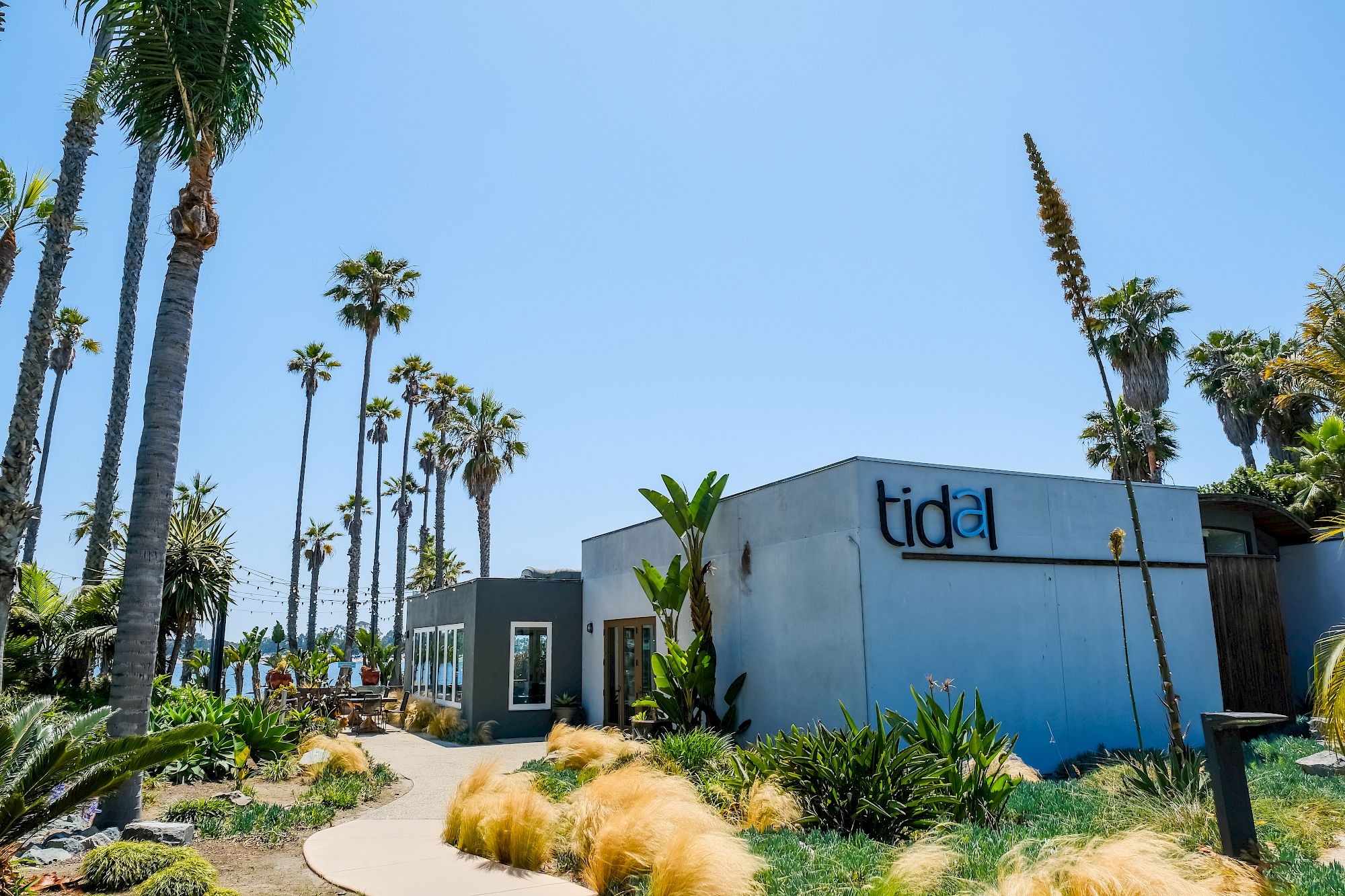 A blue building with the &ldquo;tidal&rdquo; logo stands amid landscaped gardens and tall palm trees under a clear sky.