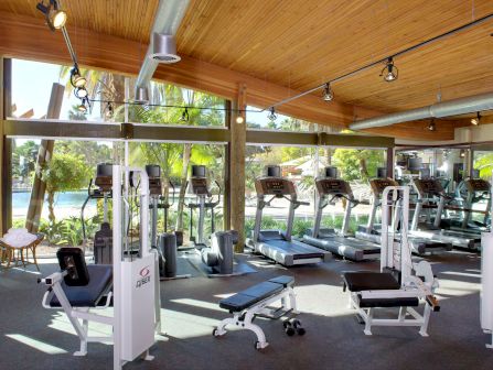 An open-air gym with treadmills, exercise machines, and a scenic palm-lined view through large windows.