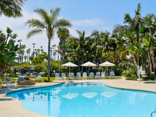 A sunny tropical hotel pool with clear water, palm trees, white umbrellas, and lounge chairs along the deck.