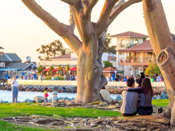 A couple sits by a massive tree at a sunny seaside resort while people stroll along the waterfront and colorful tents stand by the water.