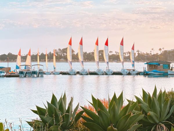 A calm lake with several sailboats moored along the shore, palm trees in the distance, and a warm sunset sky.