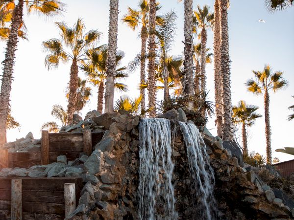 Palm trees sway beside a rocky waterfall as the sun flares in the background on a bright day.