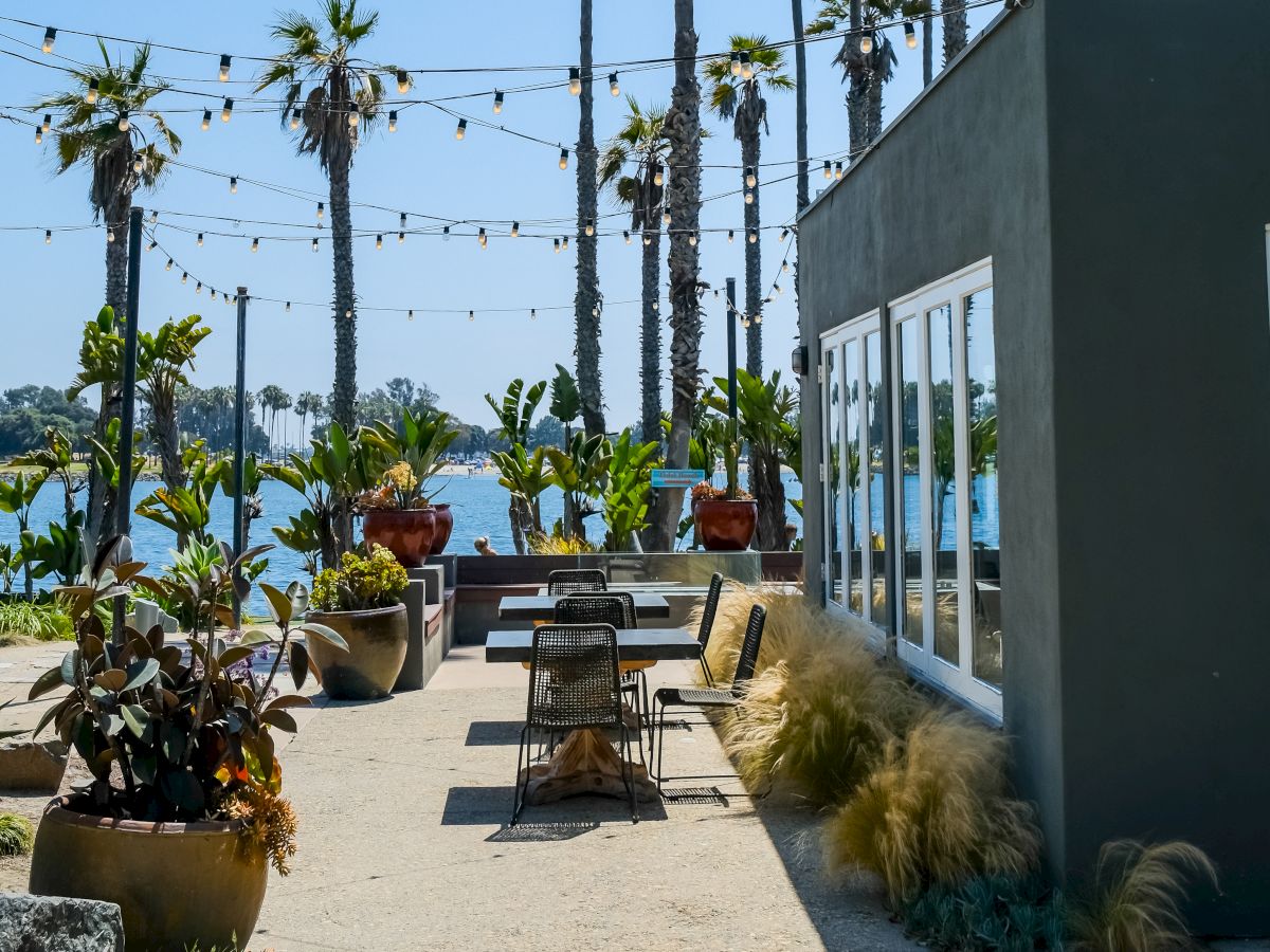 A sunny riverside patio with tall palm trees, string lights, potted plants, outdoor seating, and a building by the water.