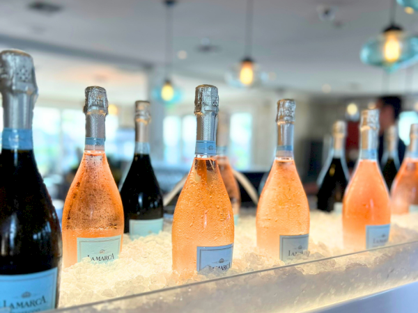 Sparkling champagne bottles chilled in ice, with golden bubbles and blurred event lights in the background.