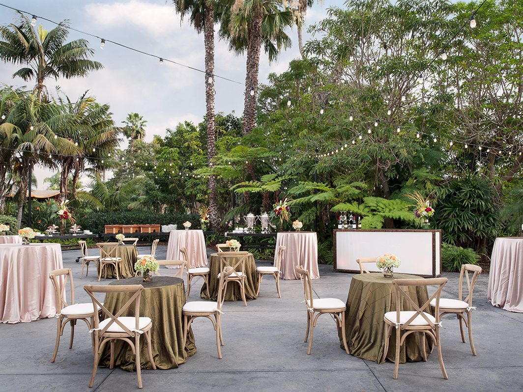 Outdoor tropical wedding setup with tables, chairs, floral centerpieces, and string lights under palm trees.