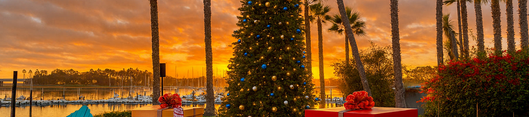 A decorated Christmas tree with blue-and-gold lights stands by palm trees at sunset, surrounded by wrapped presents on a lawn.