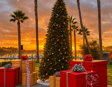 A decorated Christmas tree with blue-and-gold lights stands by palm trees at sunset, surrounded by wrapped presents on a lawn.
