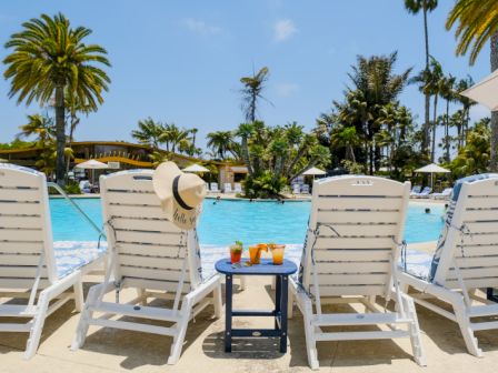 An outdoor resort pool area with lounge chairs and stone walls surrounded by palm trees.