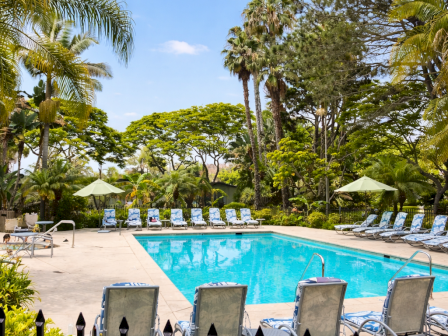 A sunny resort pool with lounge chairs, umbrellas, and lush palm trees under a blue sky, inviting relaxation by the water.