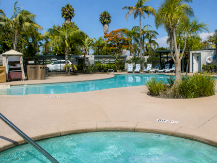 A sunny outdoor resort pool with palm trees and lounge chairs around it.