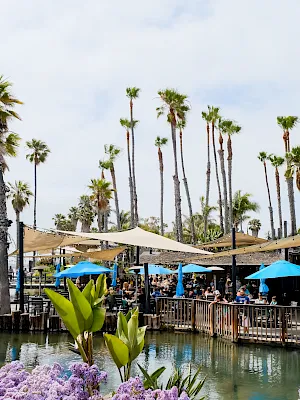 Outdoor poolside venue with tall palm trees, blue umbrellas, and a crowd relaxing on wooden decks.