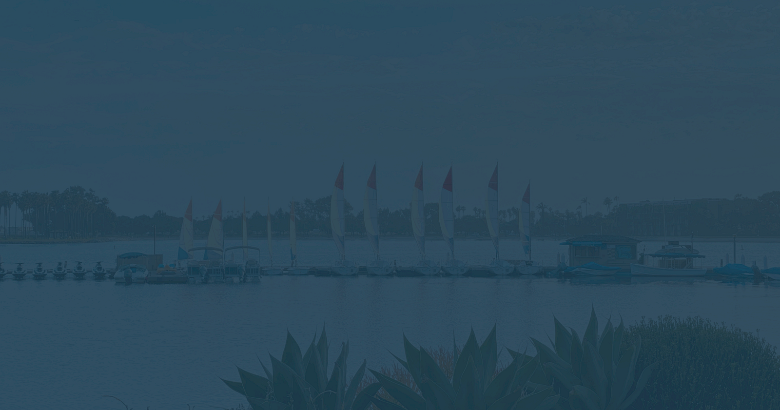 A calm harbor shows several sailboats moored on the water, with palm trees in the distance and agave leaves in the foreground.