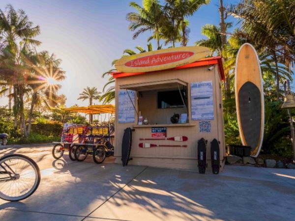 A tropical beach shack and surfboard stand for Island Haven rides sit among palm trees, with bikes and surfboards out front in sunny weather.