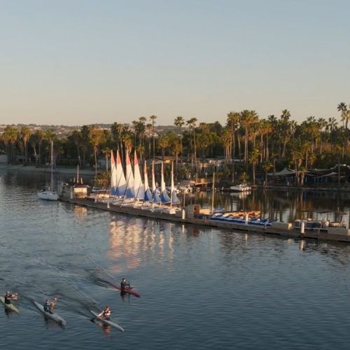 A calm marina at sunset with palm-lined shore, sailboats docked, and kayakers rowing in the water.