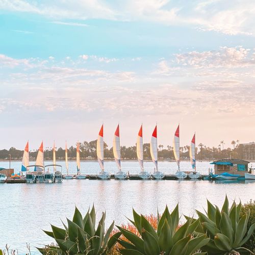 Paradise Point Resort & Spa