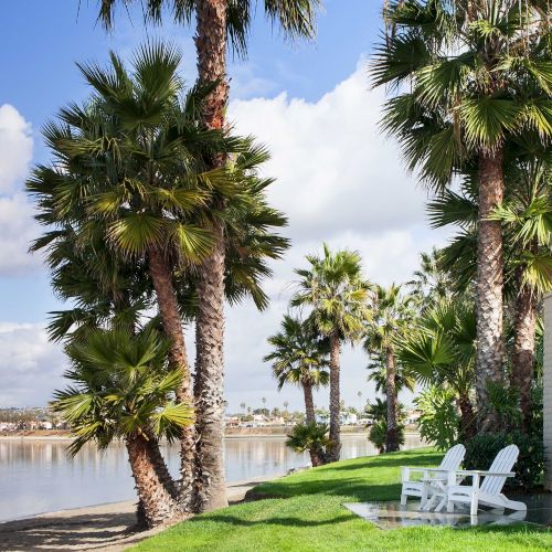 A sunny lakeside scene with tall palm trees, green lawn, white chairs, and a sailboat on calm water under blue skies.