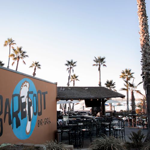 A beachside bar with a &ldquo;24P1to&rdquo; mural, palm trees, and outdoor tables sits by the harbor.