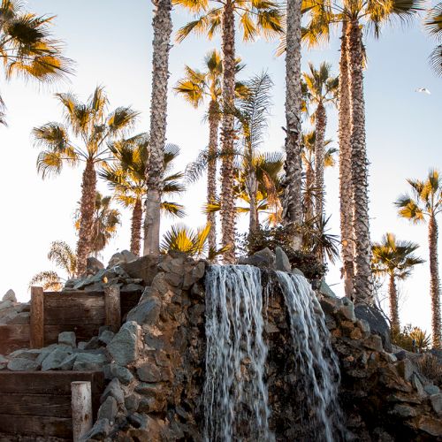 A rocky waterfall pours down while tall palm trees sway against a bright sky.