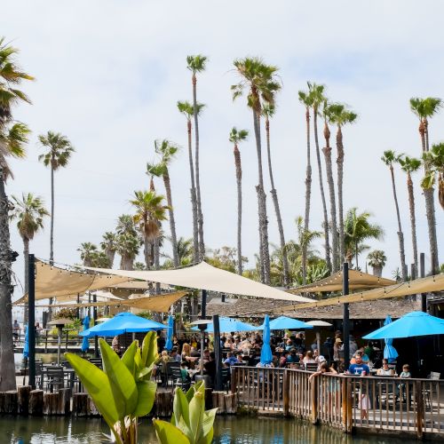 An outdoor dining area by a pool with blue umbrellas, a wooden deck, and tall palm trees under a cloudy sky.
