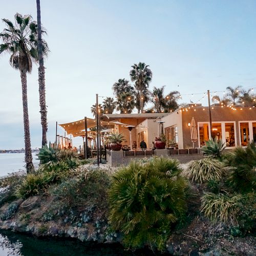 A beachside patio with palm trees and warm string lights, overlooking calm water at dusk.