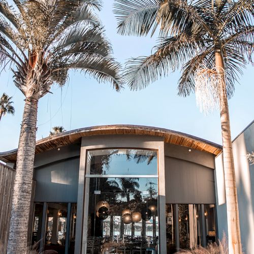 A tropical resort entrance with palm trees, outdoor lighting, and a wooden arch canopy under a bright sky, welcoming guests.