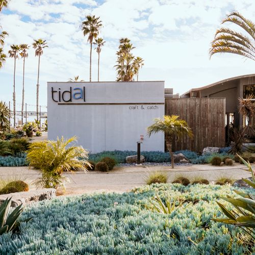 A tropical landscaped courtyard with tall palm trees and a &ldquo;tidal&rdquo; building labeled &ldquo;craft & catch,&rdquo; under a bright cloudy sky.