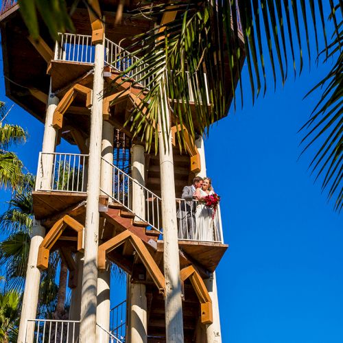 A bride and groom pose on a tall wooden balcony, framed by palm trees and a clear blue sky.