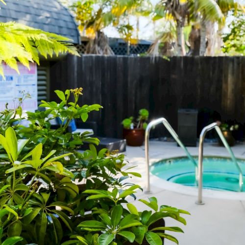 A backyard patio with lush green plants and a small turquoise swimming pool behind a tall wooden fence, in sunny daylight.