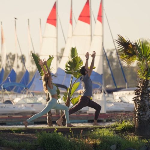 Two people are playfully climbing over a ledge by palm trees near sailboats in a marina, with flags flying above them.