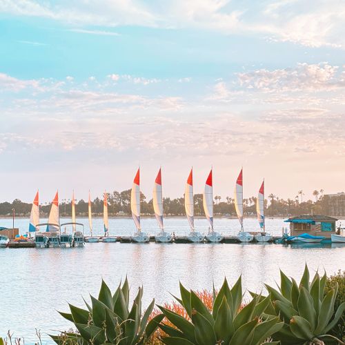 A calm lakeside marina at sunset with sailboats moored at docks and desert plants in the foreground.