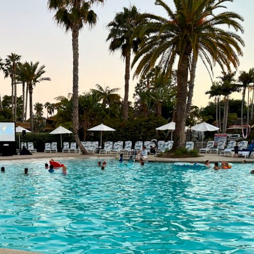 A sunny resort swimming pool with people splashing, lounge chairs, umbrellas, and tall palm trees around.