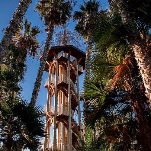 A tall wooden lookout tower rises among dense palm trees under a clear blue sky.