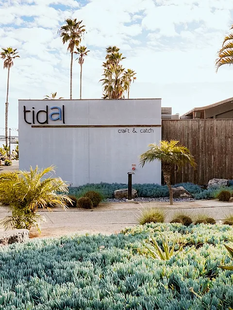 A sunny garden with palm trees and a modern sign reading &ldquo;tidal&rdquo; and &ldquo;Craft & catch.&rdquo;