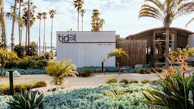 A sunny garden with palm trees and a modern sign reading &ldquo;tidal&rdquo; and &ldquo;Craft & catch.&rdquo;