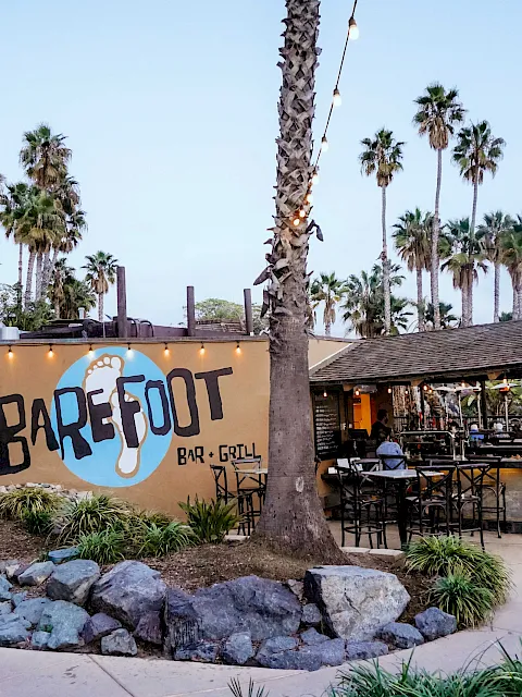 Tropical outdoor bar-grill with string lights, tall palm trees, and the &ldquo;Barefoot&rdquo; sign beside diners.