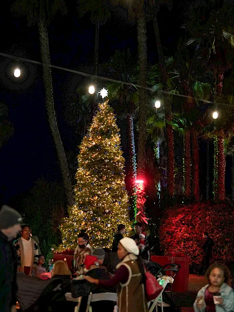 A lit Christmas tree stands in a palm-filled outdoor park at night, with festive lights overhead and people gathered around.