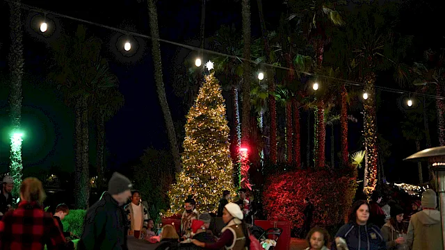 A lit Christmas tree stands in a palm-filled outdoor park at night, with festive lights overhead and people gathered around.