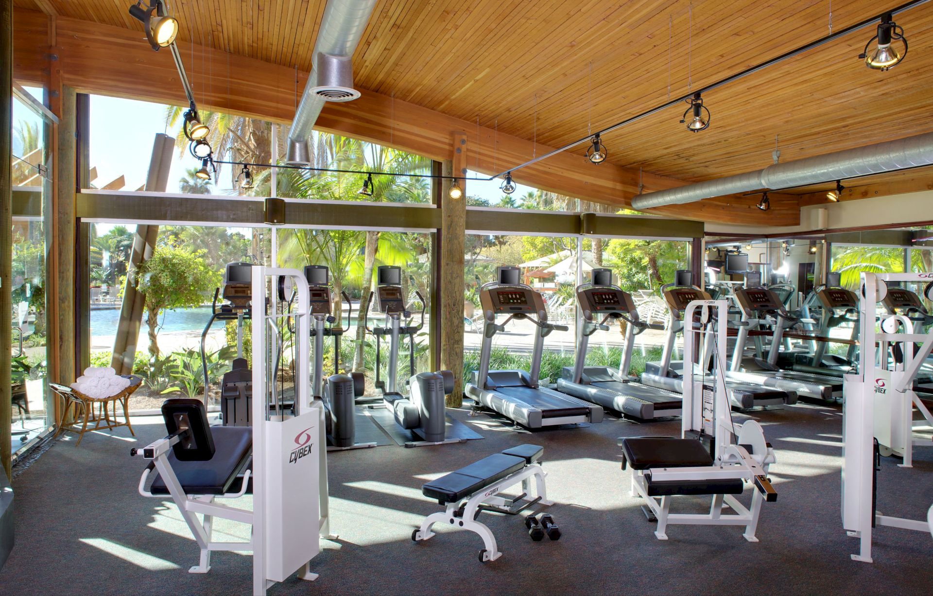 Gym with treadmills and machines under a wooden ceiling, looking out at palm trees and a pool through large windows.