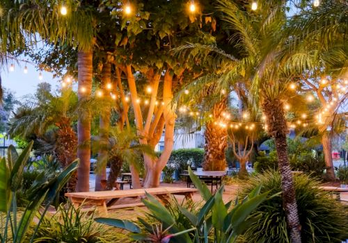 A tropical outdoor patio lined with palm trees and glowing string lights, with benches and plants creating a cozy evening setting.