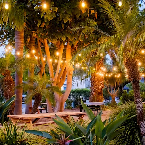 A tropical outdoor patio lined with palm trees and glowing string lights, with benches and plants creating a cozy evening setting.