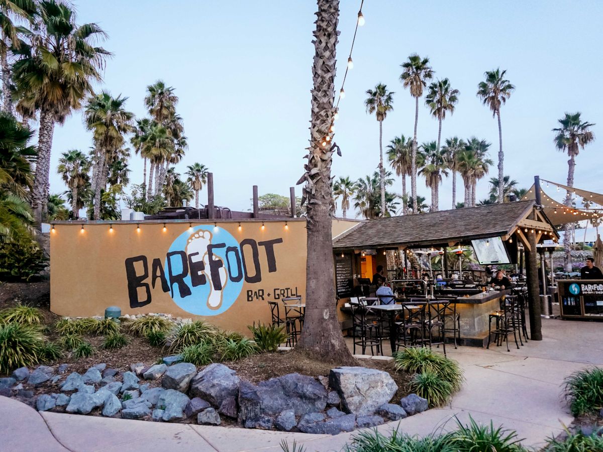 An outdoor bar-grill with string lights, tall palm trees, and a &ldquo;BAREFOOT BAR+GRILL&rdquo; sign in a sunny resort setting.