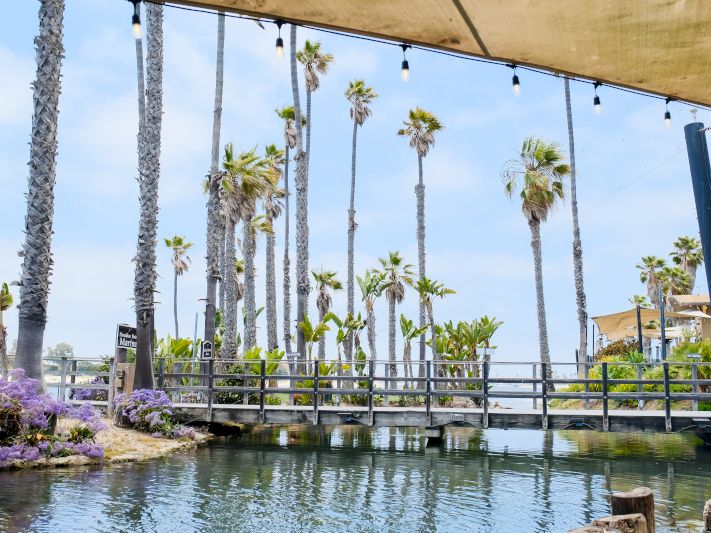Paradise Point Resort & Spa